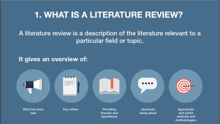 澳洲靠谱代写 literature review